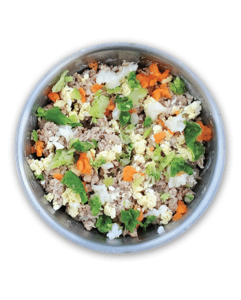Whitefish based dog food including chicken and rice for healthy, filling meal.