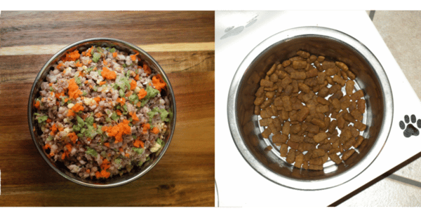collage of Rick's Dog Deli food next to a bowl of dry kibble