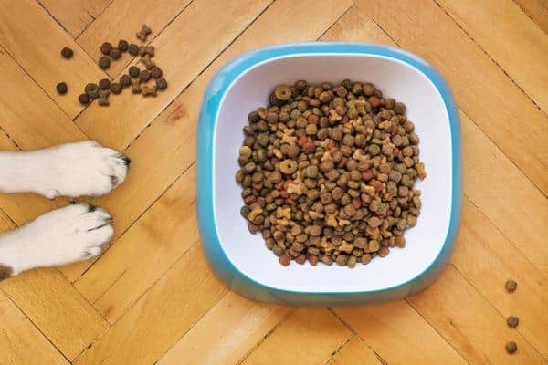 The High Cost Of Cheap Dog Food - Rick's Dog Deli