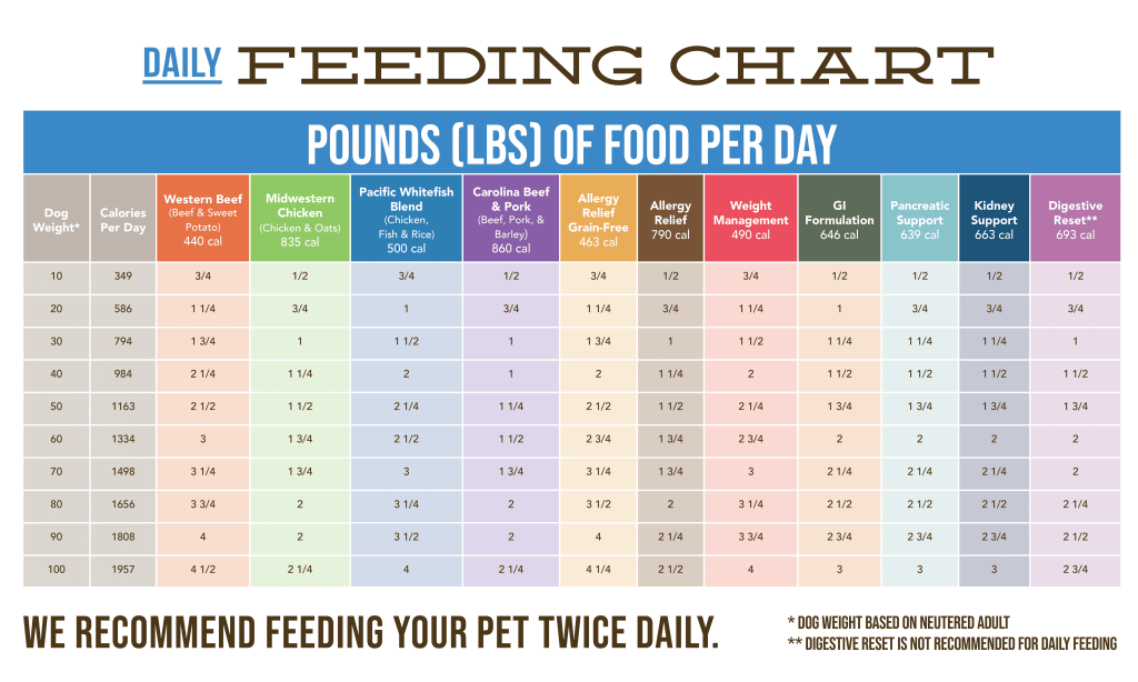 Hills Puppy Feeding Chart