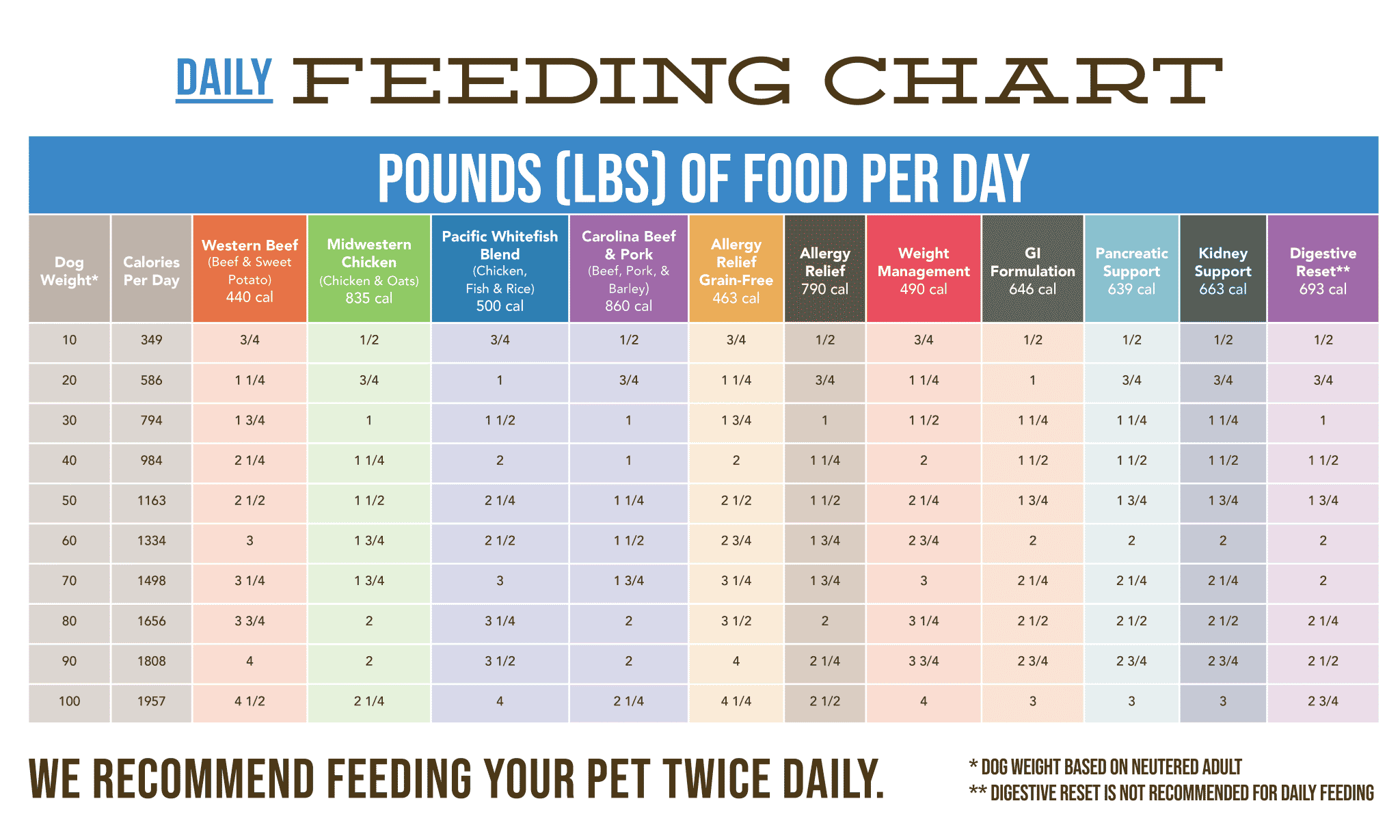 Adult Dog Feeding Chart