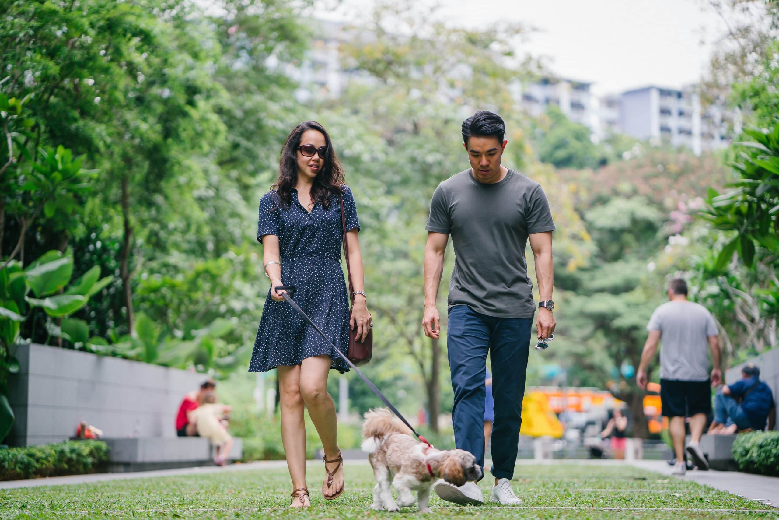 Young couple taking their dog for a walk in a public place