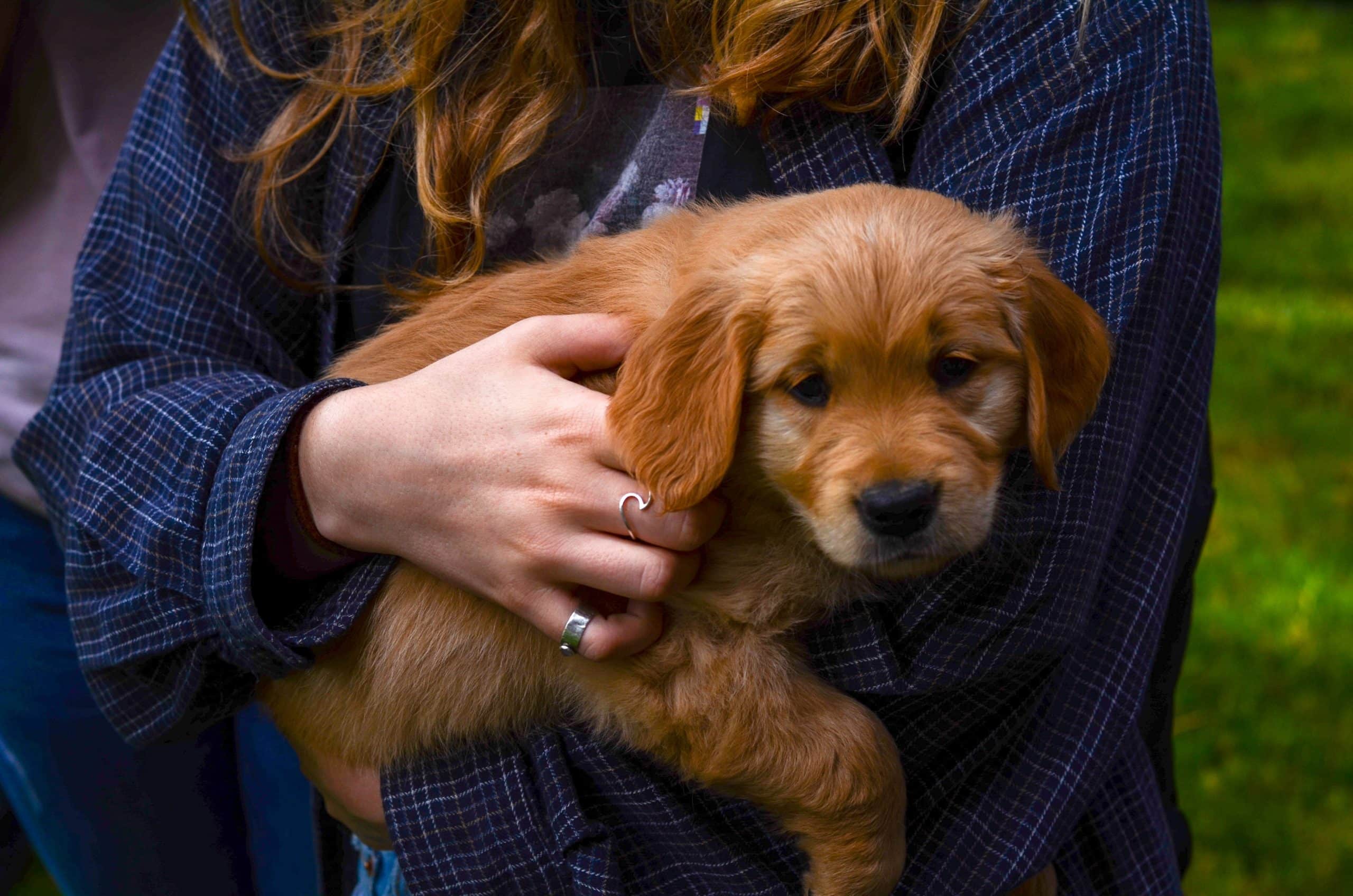 Woman holding puppy in her arms