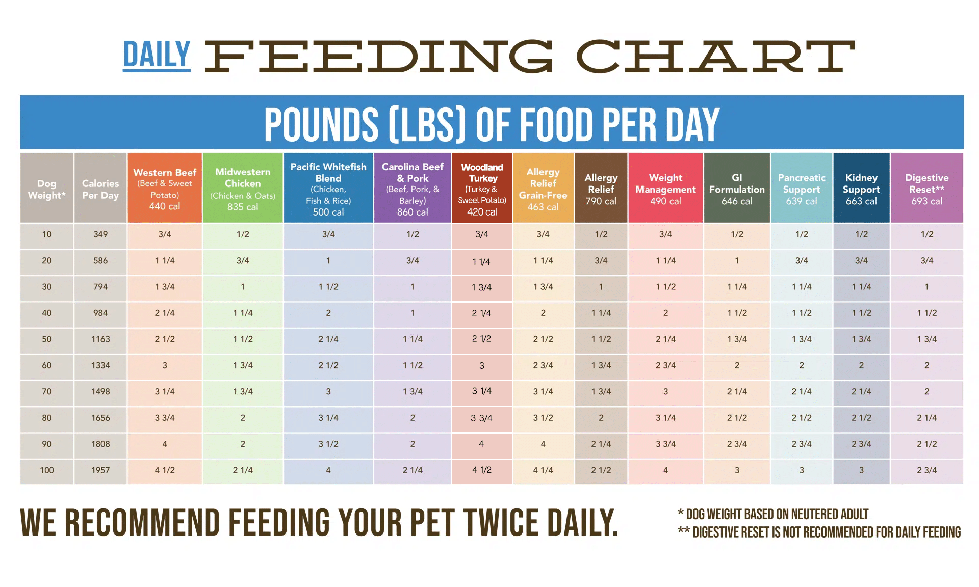 daily feeding chart for adult dogs