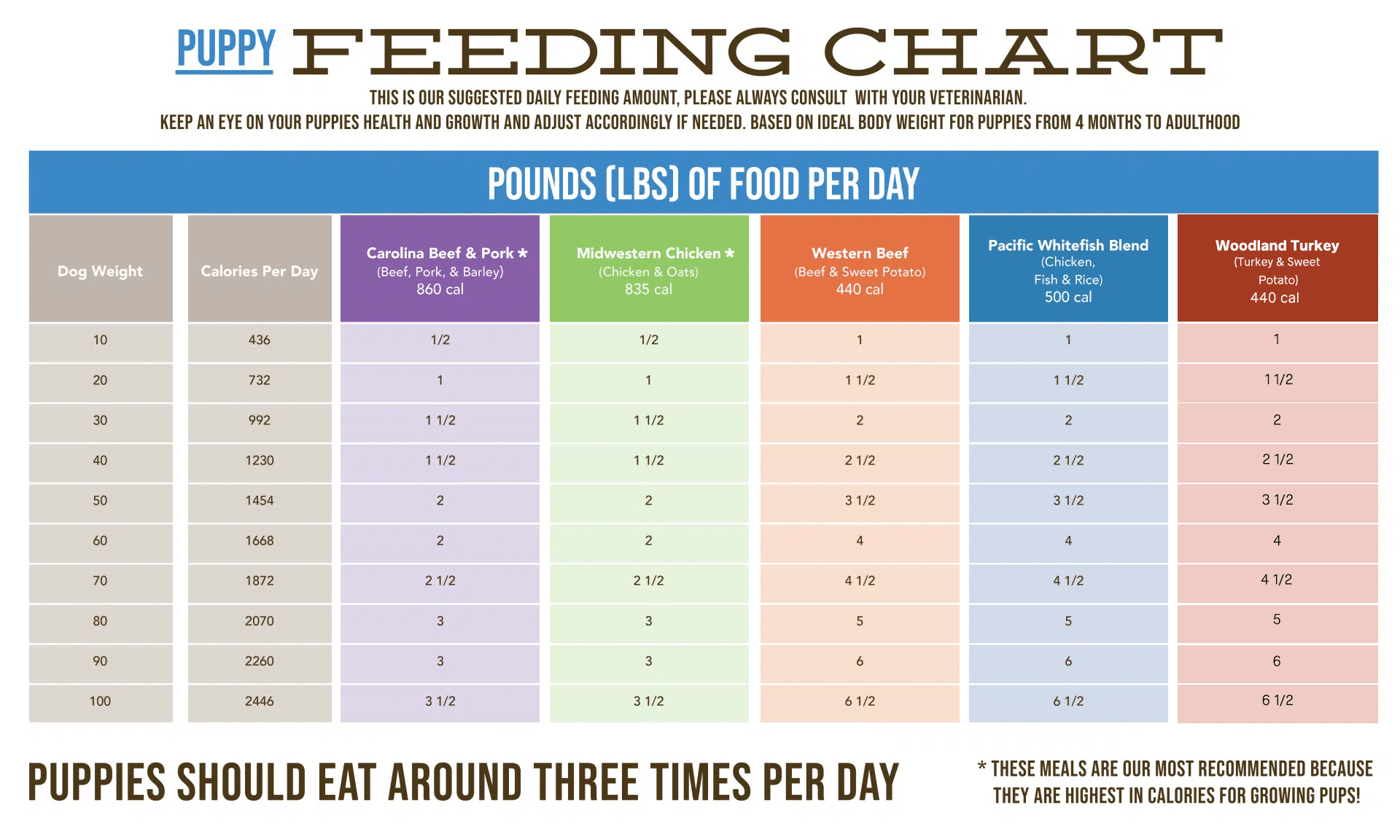 The Ultimate Dog Feeding Schedule Time and Chart